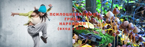 2c-b Заводоуковск